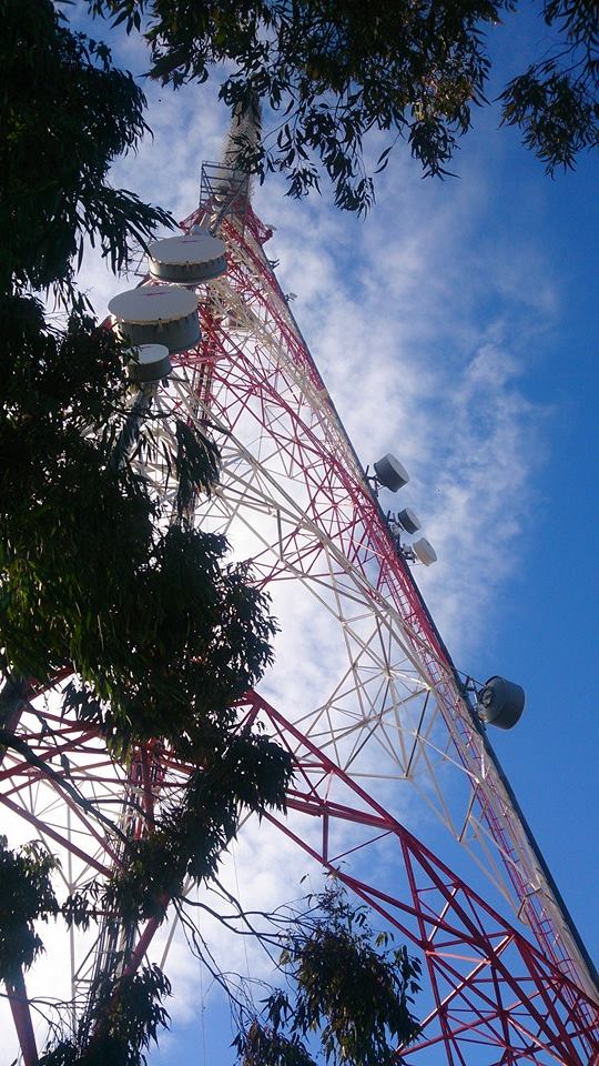 10628231_10152618236492416_1830510334248228987_n