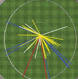 Wagon-wheel graph: runs scored per shot placement