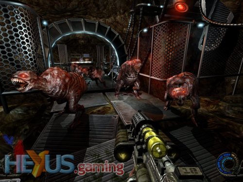 Inflated spleens with fangs.