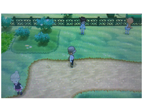 tumblr_oaa7t7O5u11s25tzoo3_500