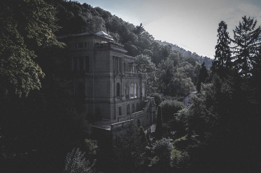 Welcome to Abhik, our newest&nbsp;writer